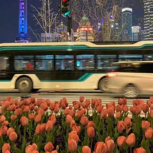 久久精品一级淫片
